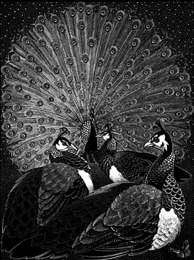 Wood Engraving by Colin See-Paynton at Norton Way Gallery, Hertfordshire