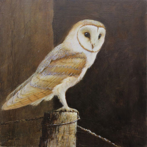 This beautiful original oil on panel painting of a Barn Owl by Neil Cox is exhibited at Norton Way Gallery.