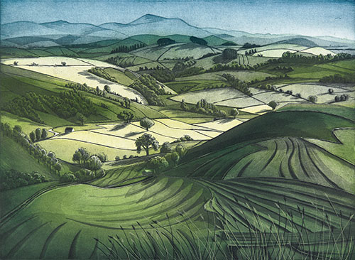 Etching and Aquatint by Morna Rhys at Norton Way Gallery, Hertfordshire