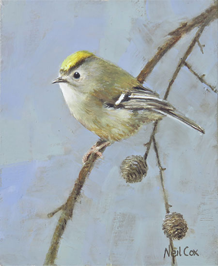 This oil painting by wildlife artist Neil Cox, shows a gold crest perched on a twig.