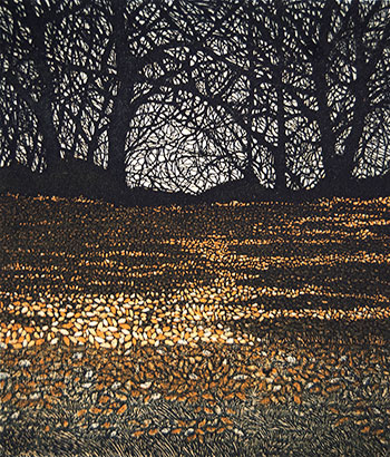 Phil Greenwood RE, at Norton Way Gallery, Hertfordshire. This original artwork by British artist, Phil Greenwood RE is an original artist's etching. It depicts fallen autumn leaves in the foreground and a line of dark winter trees in the distance.