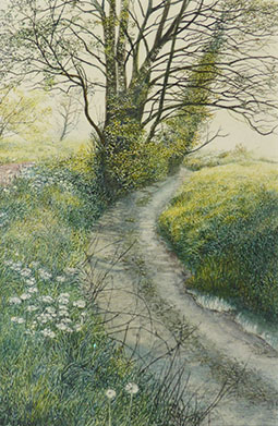 Watercolour by Rosalind Pierson at Norton Way Gallery, Hertfordshire