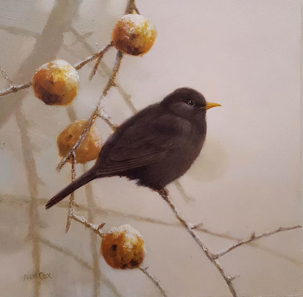 This beautiful original oil on panel painting by Neil Cox shows a black bird perched on a twig in winter.