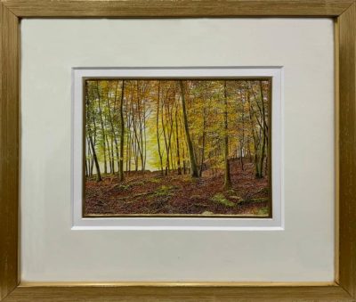 Framed miniature watercolour painting from Rosalind Pierson, exhibited at Norton Way Gallery, Hertfordshire