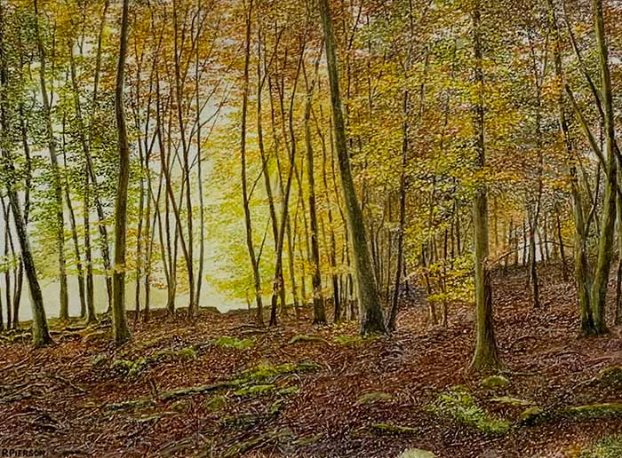 Miniature Watercolour from Rosalind Pierson. This beautiful original miniature watercolour from Rosalind Piersona depicts Beech trees in autumn glory. Exhibited at Norton Way Gallery, Hertfordshire.