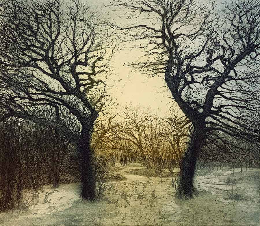 More light than Heat by Jo Barry RE. This original etching from Jo Barry RE depicts dark winter trees against a subdude winter sun. It is exhibited at Norton Way Gallery Hertfordshire.
