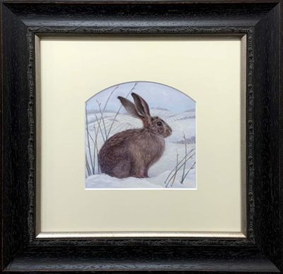Collette Hoefkens at Norton Way Gallery Hertfordshire. Stillness by Collette Hoefkens, this painting is an original watercolour depicted a hare in snow.