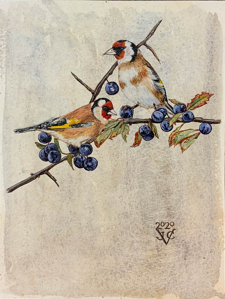 Two in the Slow by Juliet Venter. An Egg Tempera painting of two Goldfinches in Blackthorn, by Juliet Venter. Exhibited at Norton Way Gallery, Hertfordshire.