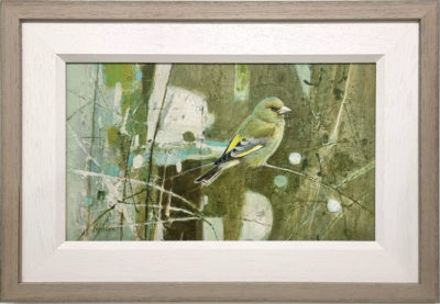 Neil Cox original oil painting at Norton Way Gallery. This beautiful, original piece of art from Neil Cox is painted in oil and depicts a small Greenfinch bird, in an abstract background of snowberries. This painting is exhibited at norton Way Gallery in Hertfordshire.