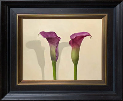 Sian Hopkinson at Norton Way Gallery. Sian Hopkinson created this beautiful origianl artwork in oils. It depicts two pink Arum Lilies. It is exhibited at Norton Way Gallery Hertfordshire. This artwork is framed in a taditional and contemporay black frame.