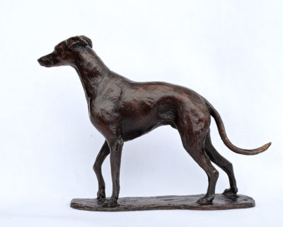 Foundry Bronze by Deborah Burt at Norton Way Gallery, Hertfordshire. Deborah Burt creats beautiful small to medium sized animal sculptures in foundry bronze. This pieces depicts a pretty whippet..