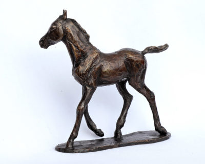 Foundry Bronze by Deborah Burt at Norton Way Gallery, Hertfordshire. Deborah Burt creats beautiful small to medium sized animal sculptures in foundry bronze. This pieces depicts a delightful young foal.