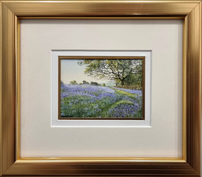 Rosalind Pierson art at Norton Way Gallery Hertfordshire. This beautiful, miniature, painting has been painted in watercolour. It is an original artwork from Rosalind Pierson and depicts a field of Bluebells and trees.
