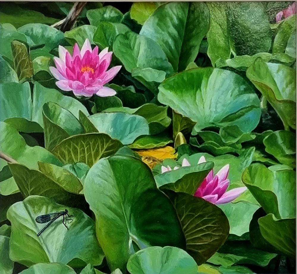 Andrew Tewson Art at Norton Way Gallery. This beautiful oil painting is an original artwork by artist Andrew Tewson. It depicts a a small Branded Damselfly and pink waterlilies.