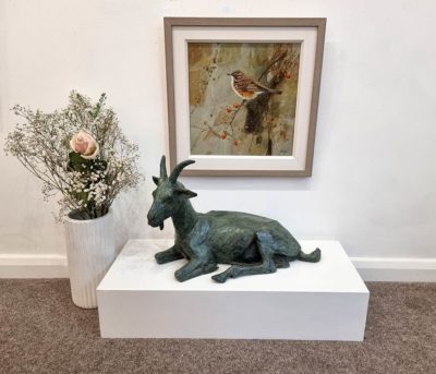 Stuart Anderson at Norton Way Gallery Hertfordshire. Original artwork by Stuart Anderson. This beautiful foundry bronze sculpture from Stuart Anderson depicts a a kneeling goat in a green patina. It is shown with a painting of a Fieldfare by Neil Cox.