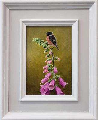 Andrew Tewson Art at Norton Way Gallery. This beautiful oil painting is an original artwork by artist Andrew Tewson. It depicts a small Stonechat bird on a pink Foxglove.