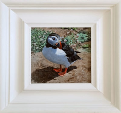 Andrew Tewson Art at Norton Way Gallery. This beautiful oil painting is an original artwork by artist Andrew Tewson. It depicts an Atlantic Puffin.