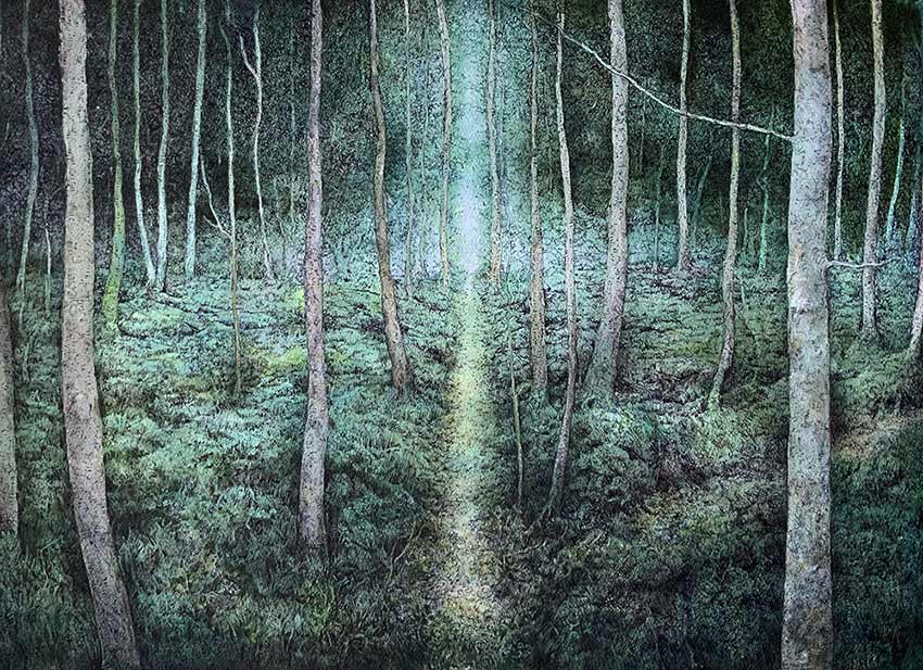 Lynda Jones art at Norton Way Gallery Hertfordshire. This beautiful pencil drawing is an original artwork by Welsh artist Lynda Jones. It depicts a woodland, lanscape scene with a path through a forest of winter trees.
