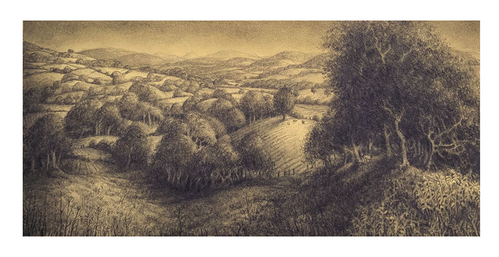 Lynda Jones art at Norton Way Gallery Hertfordshire. This beautiful pencil drawing is an original artwork by Welsh artist Lynda Jones. It depicts a countryside, lanscape scene with rolling fields and trees.