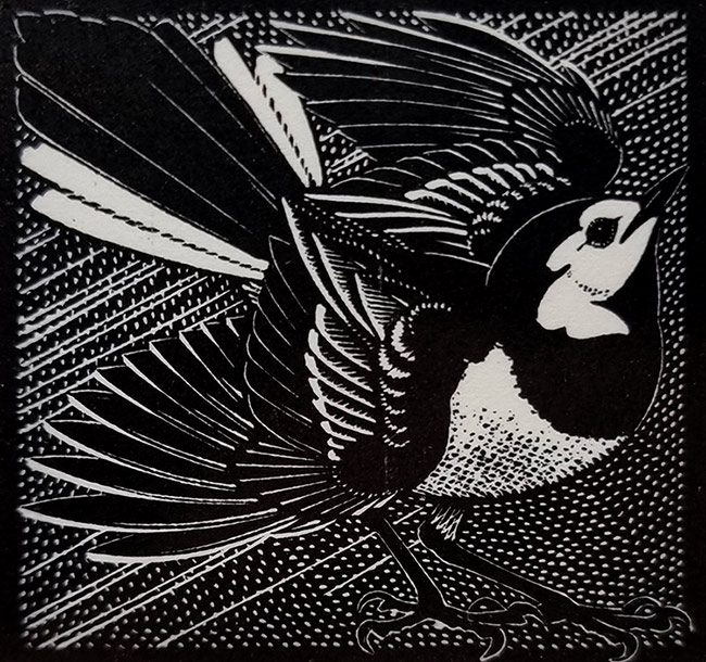 Colin See-Paynton, at Norton Way Gallery, Hertfordshire. This original artwork by British artist, Colin See-Paynton is an original artist's woodengraving. It depicts a detailed black and white study of a Wagtail bird.