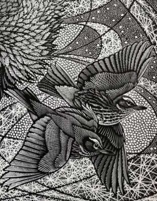 Colin See-Paynton, at Norton Way Gallery, Hertfordshire. This original artwork by British artist, Colin See-Paynton is an original artist's woodengraving. It depicts a detailed black and white study of birds in flight.