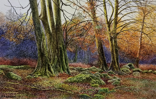 Rosalind Pierson art at Norton Way Gallery Hertfordshire. This beautiful, miniature, painting has been painted in watercolour. It is an original artwork from British artist Rosalind Pierson and depicts a trees and moss and a dark purple glow, in a woodland scene in autumn. It is framed in a gold frame.