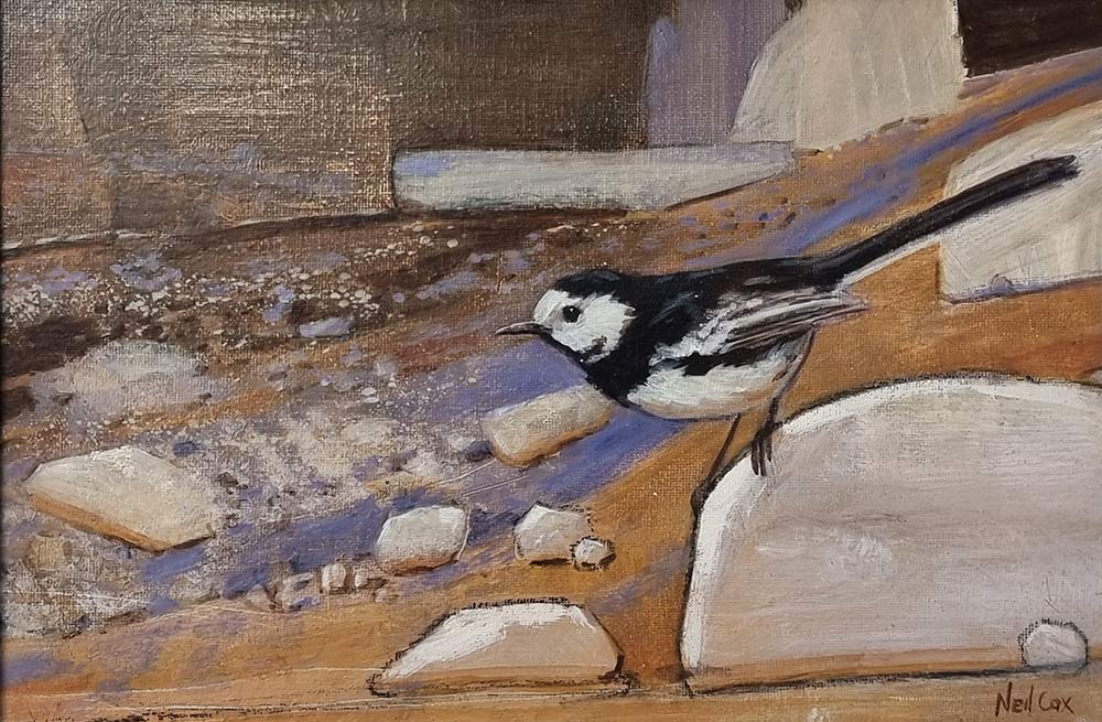 Neil Cox at Norton Way Gallery, Hertfordshire. This original artwork by British artist, Neil Cox is painted in oils. It depicts a Pied Wagtail bird on a rock by a stream.