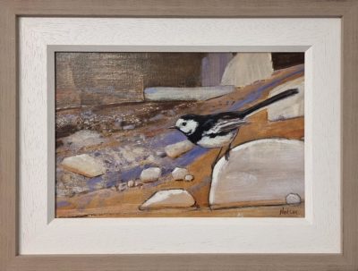 Neil Cox at Norton Way Gallery, Hertfordshire. This original artwork by British artist, Neil Cox is painted in oils. It depicts a Pied Wagtail bird on a rock by a stream..