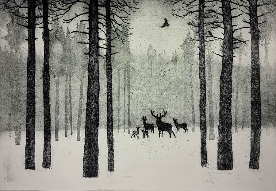 Tim Southall at Norton Way Gallery, Hertfordshire. This original artwork by British artist, Tim Southall is an original etching. It depicts deer in a winter, woodland landscape.
