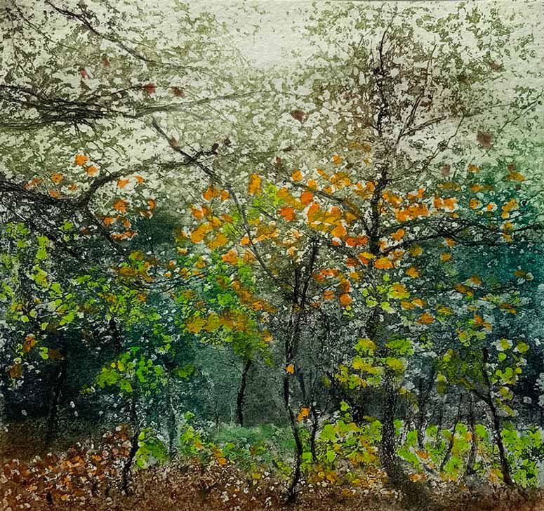 Jo Barry RE at Norton Way Gallery, Hertfordshire. This original artwork by British artist, Jo Barry is an original etching. It depicts a group of trees in greens, oranges and browns.