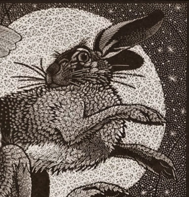 Colin See-Paynton, at Norton Way Gallery, Hertfordshire. This original artwork by British artist, Colin See-Paynton is an original artist's woodengraving. It depicts a detailed black and white study of a hare face in detail.