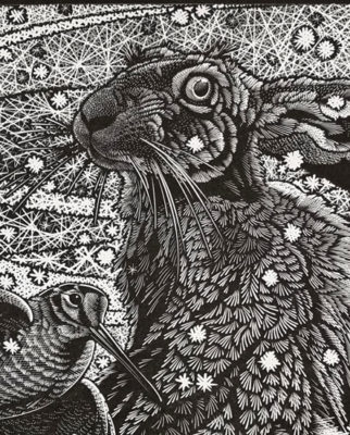 Colin See-Paynton, at Norton Way Gallery, Hertfordshire. This original artwork by British artist, Colin See-Paynton is an original artist's woodengraving. It depicts a detailed black and white study of a hare face in detail.