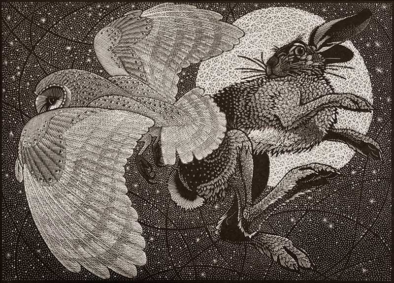 Colin See-Paynton, at Norton Way Gallery, Hertfordshire. This original artwork by British artist, Colin See-Paynton is an original artist's woodengraving. It depicts a detailed black and white study of a hare and owl in a moonlit sky.
