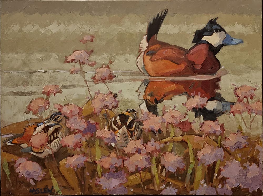 Andrew Haslen at Norton Way Gallery, Hertfordshire. This original artwork by British artist, Andrew Haslen is painted in oils. It depicts a Ruddy Duck swimming with two Snip nestled upon the river bank.