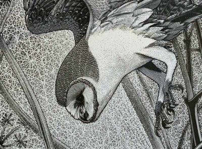 Colin See-Paynton, at Norton Way Gallery, Hertfordshire. This original artwork by British artist, Colin See-Paynton is an original artist's woodengraving. It depicts a detailed black and white study of a Barn Owl swooping down.