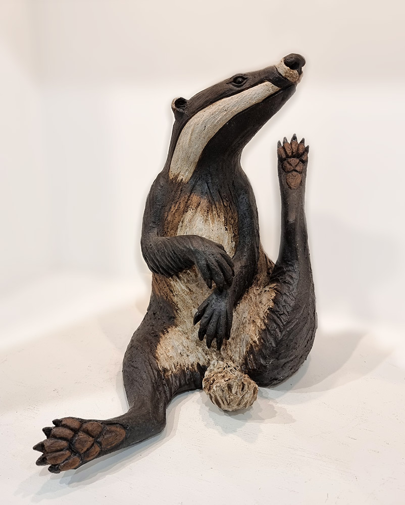 Pippa Hill at Norton Way Gallery Hertfordshire. This ceramic clay badger is an original artwork from Pippa Hill. The badger is sitting up with legs a kimbo and he is scratching his chin, he is white, black and brown.