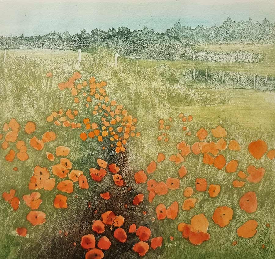 Jo Barry RE at Norton Way Gallery, Hertfordshire. This original artwork by British artist, Jo Barry is an original etching. It depicts a pathway through fiels, flanked with red poppies.
