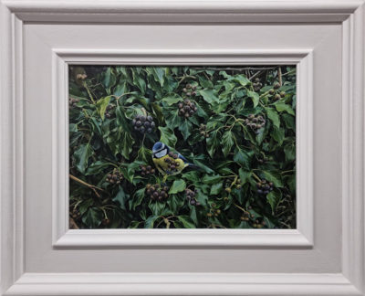 Andrew Tewson at Norton Way Gallery, Hertfordshire. This original artwork by British artist, Andrew Tewson is painted in oils. It depicts a a tiny Blue Tit, nestled among ivy and berries. This original painting is framed in a hand painted, off white frame.