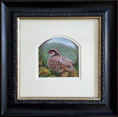 Collette Hoefkens Art at Norton Way Gallery Hertfordshire. This beautiful painting is an original artwork by British artist Collette Hoefkens. It is a wildlife painting, depicting a Red-legged Partridge with pears