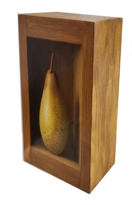 Anne Songhurst Art at Norton Way Gallery Hertfordshire. This beautiful oil painting is an original artwork by British artist Anne Songhurst. It is a still life painting, depicting a single Rocha Pear, set inside a small cupboard. It is a Tromp l’oeil painting.