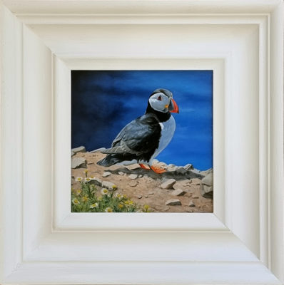 Andrew Tewson at Norton Way Gallery, Hertfordshire. This original artwork by British artist, Andrew Tewson is painted in oils. It depicts a Puffin in summer plumage. This original painting is framed in a hand painted, off white frame.