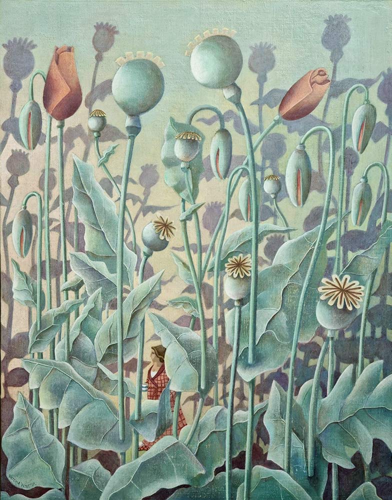 Victoria Webster at Norton Way Gallery, Hertfordshire. This original artwork by British artist, Victoria Webster is painted in oils. It depicts a woman drinking her morning tea, surrounded by tall poppies.