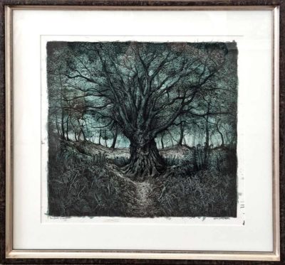 Lynda Jones art at Norton Way Gallery Hertfordshire. This beautiful pencil drawing is an original artwork by Welsh artist Lynda Jones. It depicts a woodland, lanscape scene an old Beech tree.