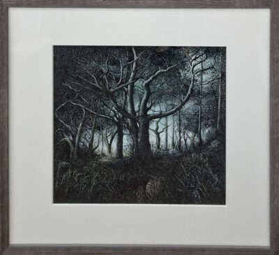 Lynda Jones art at Norton Way Gallery Hertfordshire. This beautiful pencil drawing is an original artwork by Welsh artist Lynda Jones. It depicts a dark woodland, landscape scene, with a dog silhouetted in the foreground