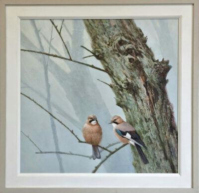 Neil Cox at Norton Way Gallery, Hertfordshire. This beautiful oil painting by Neil Cox is an excellent example of his fluid, yet realistic, oil style. It depicts two Jay birds. It is exhibited at Norton Way Gallery, Hertfordshire.