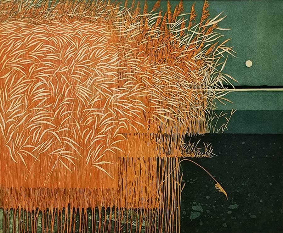 Phil Greenwood RE, at Norton Way Gallery, Hertfordshire. This original artwork by British artist, Phil Greenwood RE is an original artist's etching. It depicts the edge of a lake, at dusk. The reeds are a flaming orange.