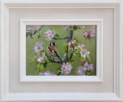 Andrew Tewson at Norton Way Gallery, Hertfordshire. This original artwork by British artist, Andrew Tewson is painted in oils. It depicts a tiny Goldfinch, nestled among Apple Blossom. This original painting is framed in a hand painted, off white frame.