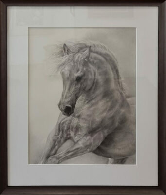 Collette Hoefkens at Norton Way Gallery, Hertfordshire. This original artwork by British artist, Collette Hoefkens, is an original artist's drawing. It depicts a grey Arab Stallion, cantering.