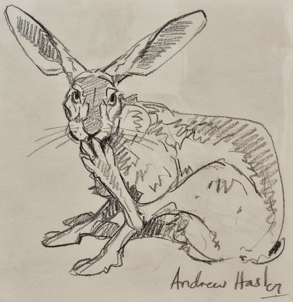 Andrew Haslen at Norton Way Gallery, Hertfordshire. This original artwork by British artist, Andrew Haslen is drawn in graphite pencil. It depicts a hare licking his back left foot. His ears are upright.
