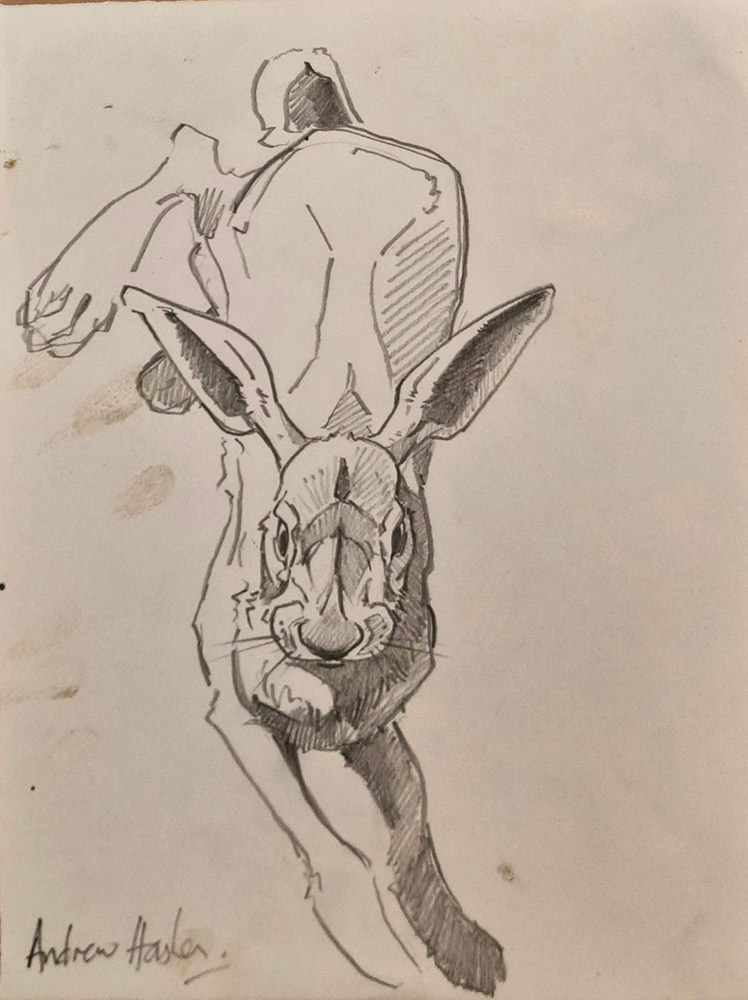 Andrew Haslen at Norton Way Gallery, Hertfordshire. This original artwork by British artist, Andrew Haslen is drawn in graphite pencil. It depicts a hare running or leaping towards the viewer.